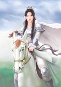 三十三又三分之一