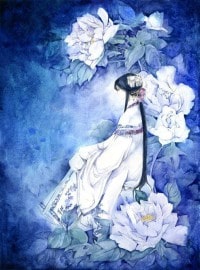 宗主,夫人又去打架啦