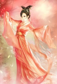重生之電子風雲